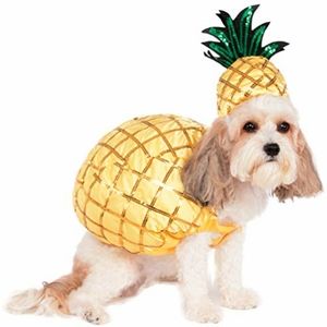 Rubie's Pineapple Pet Halloween Costume, Small